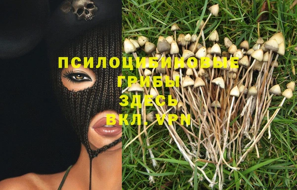 кокаин колумбия Дмитриев