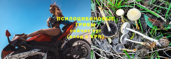 эйфоретик Дмитровск