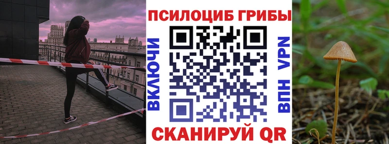 Псилоцибиновые грибы GOLDEN TEACHER  Купить закладки  Железногорск 